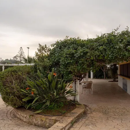 Bay Luz