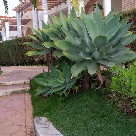 Bay Hotel Luz