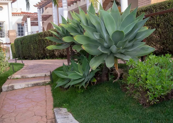 Bay Hotel Praia Da Luz