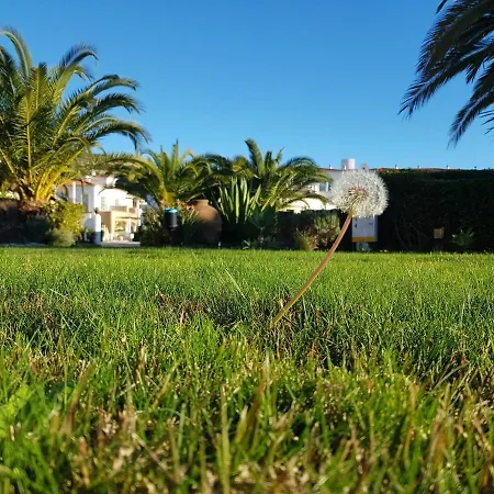 Bay Otel Luz